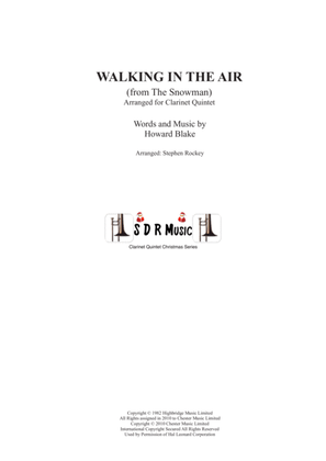 Book cover for Walking In The Air