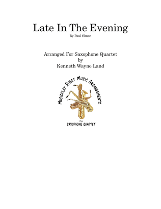 Book cover for Late In The Evening
