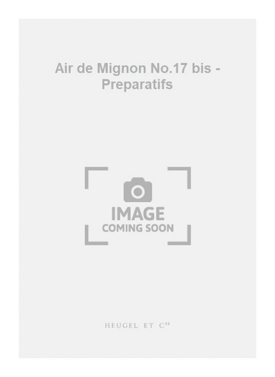 Air de Mignon No.17 bis - Preparatifs