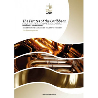 Book cover for Pirates of the Caribbean