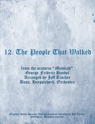 Book cover for 12. The People That Walked