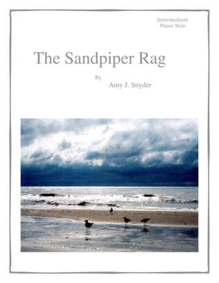 Book cover for The Sandpiper Rag, piano solo
