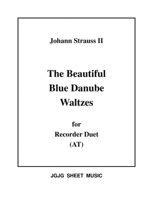 Book cover for Blue Danube Waltzes for Recorder Duet