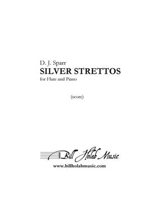 Book cover for Silver Strettos