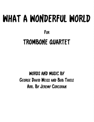 Book cover for What A Wonderful World