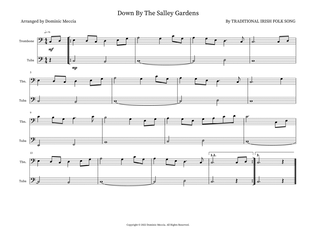 Book cover for Down By The Salley Gardens