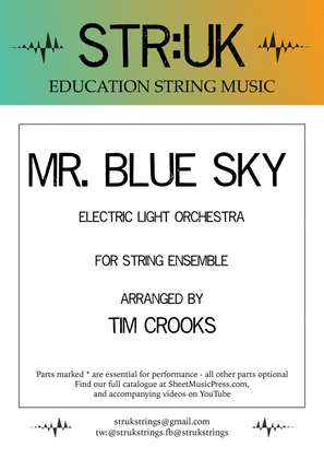 Book cover for Mr. Blue Sky