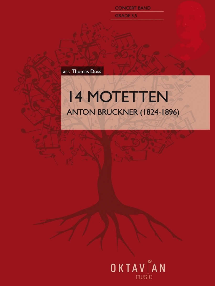 14 Motetten