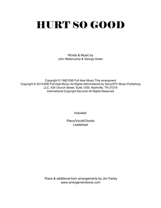Book cover for Hurts So Good