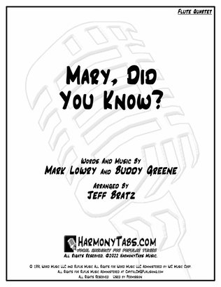 Book cover for Mary, Did You Know?