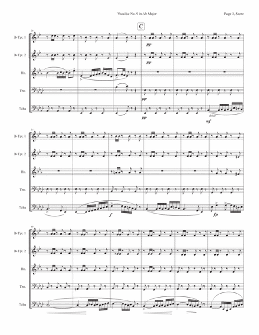 Vocalise No. 9 in Ab Major from 12 Vocalises for Mezzo Soprano image number null