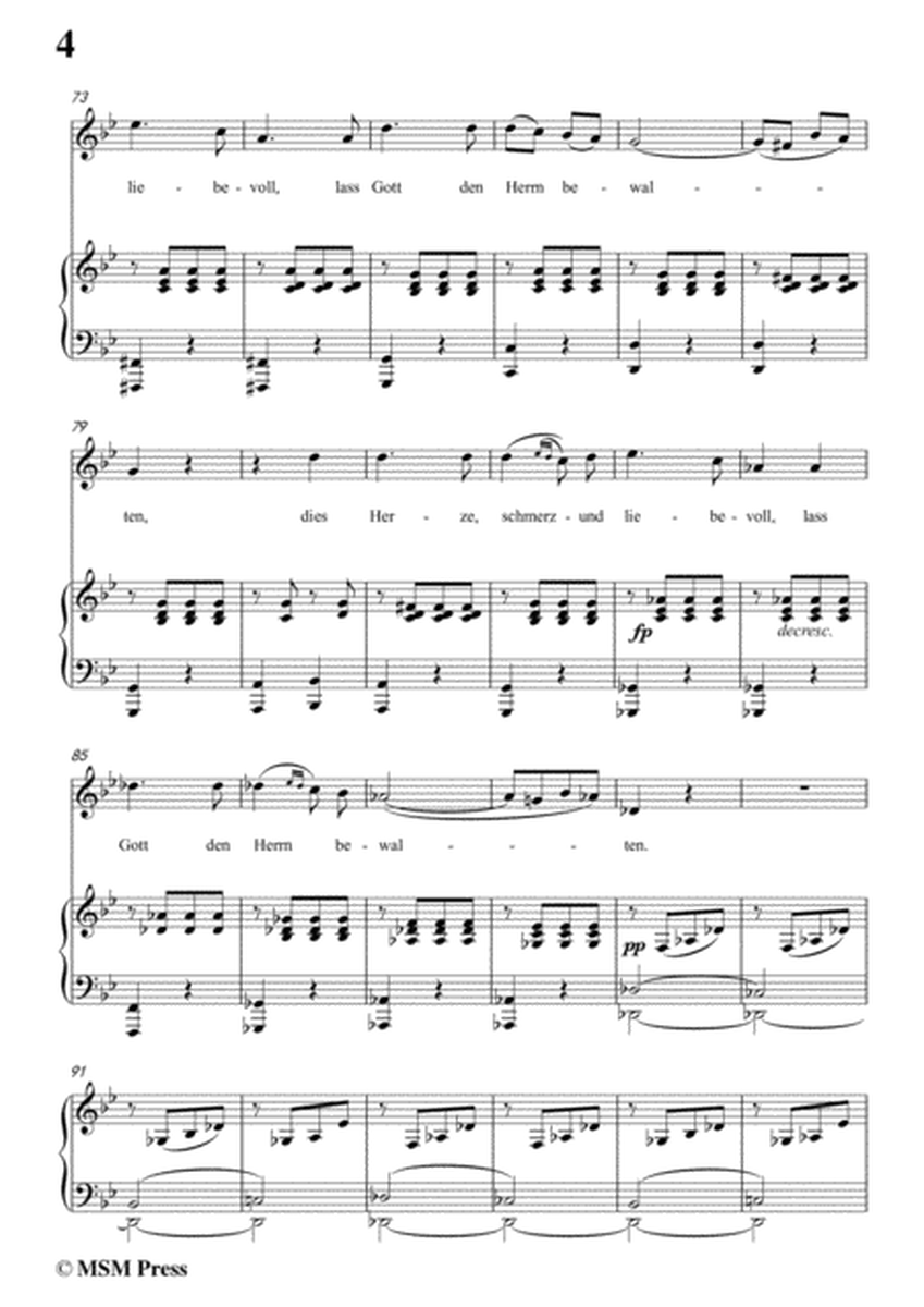 Schubert-Der Liedler,Op.38(D.209),in g minor,for Voice&Piano image number null