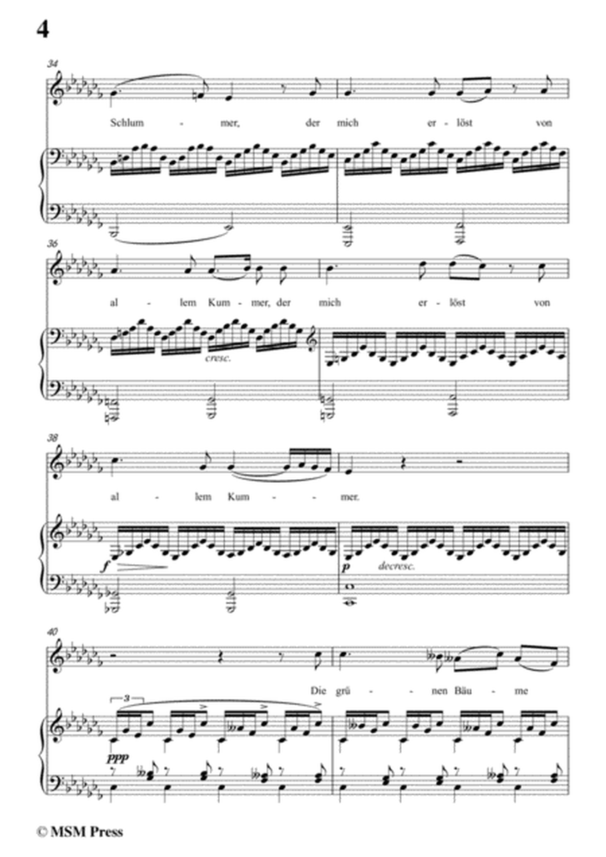 Schubert-Nachtstück,Op.36 No.2,in a flat minor,for Voice&Piano image number null