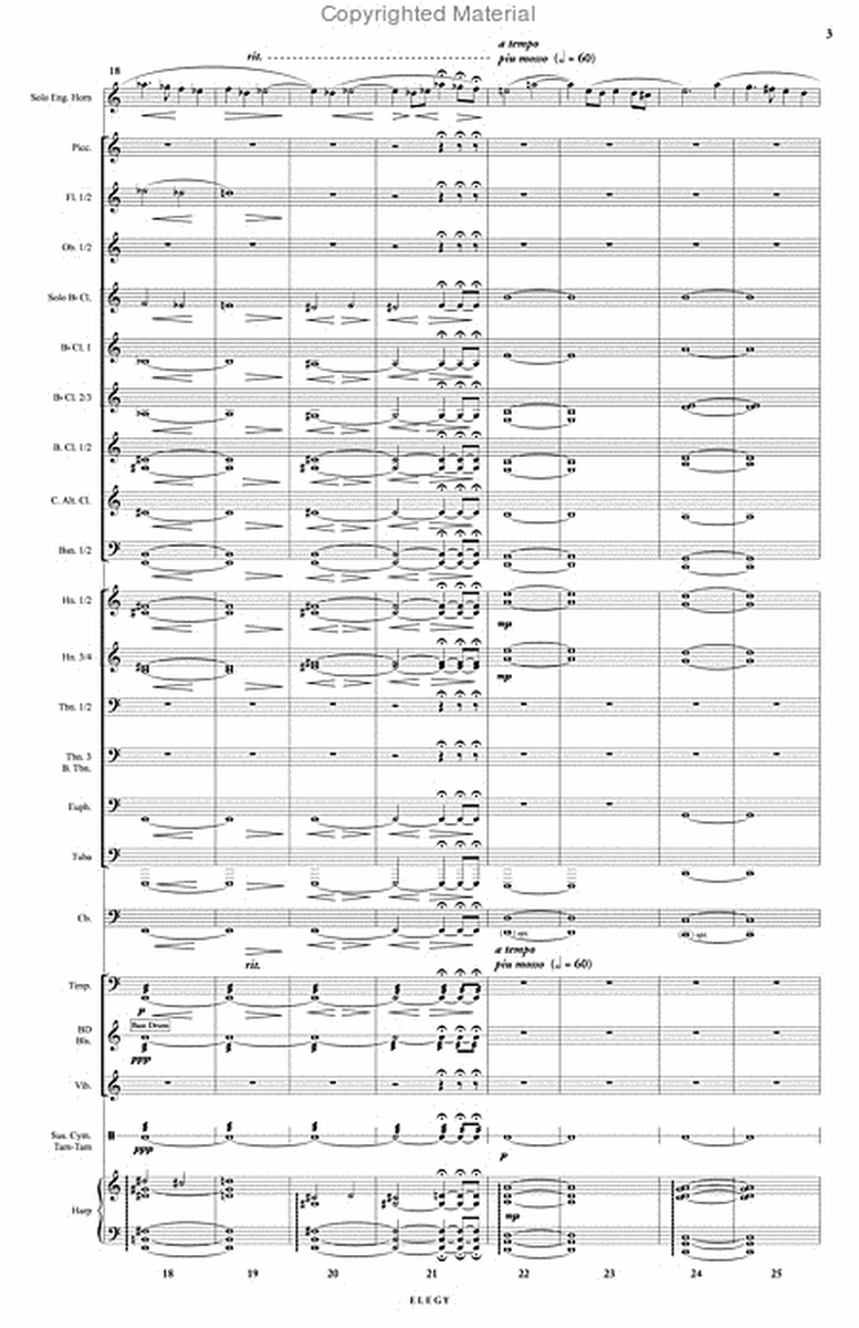 Elegy for English Horn & Wind Orchestra (score & parts) image number null