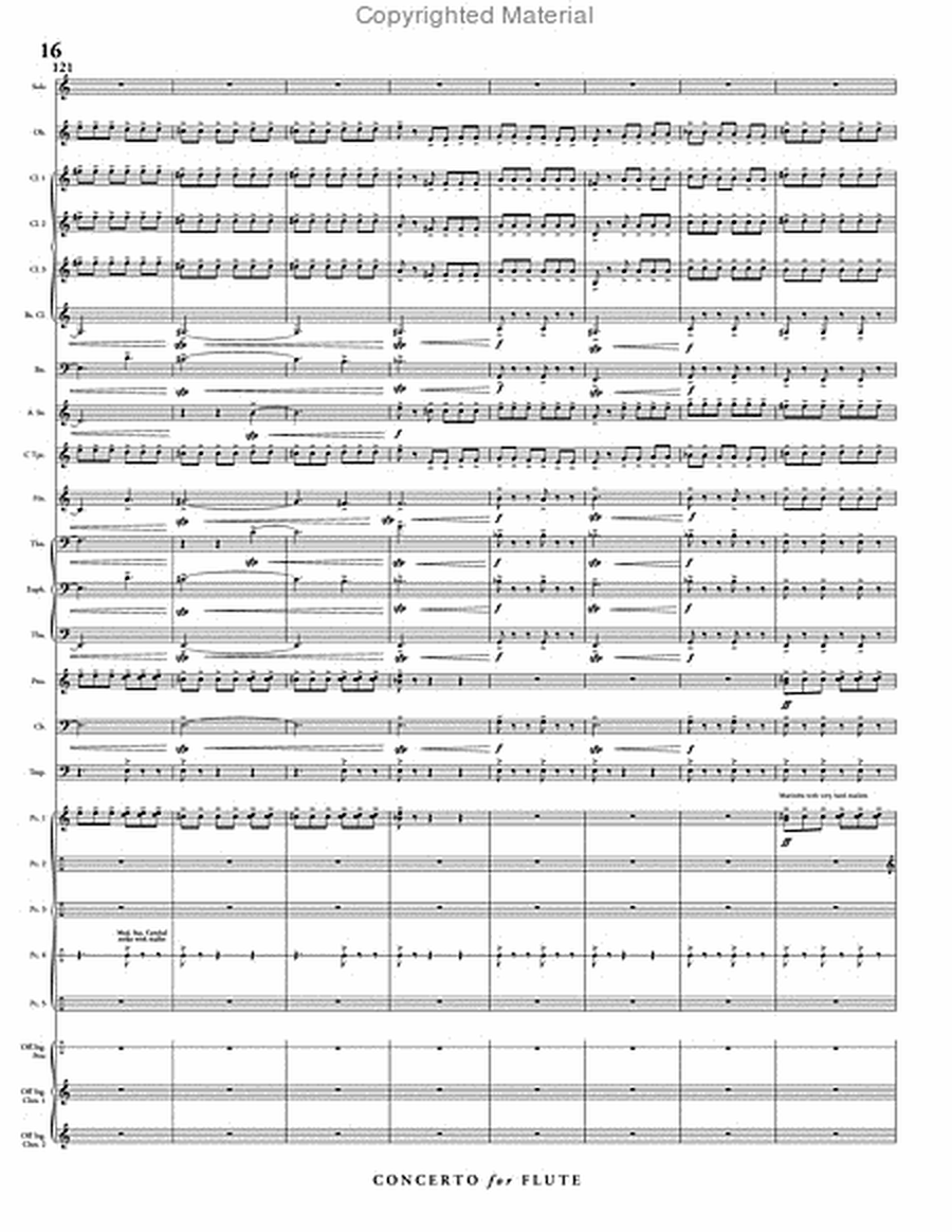 Concerto for Flute & Wind Ensemble image number null