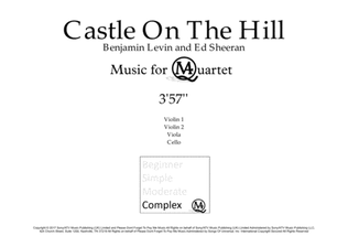 Book cover for Castle On The Hill