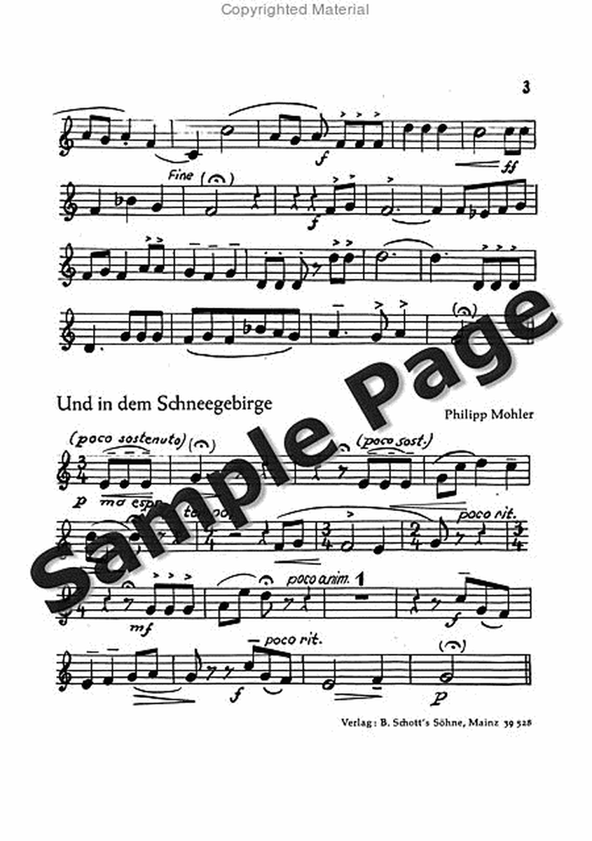 Festliche Liedkantate op. 37