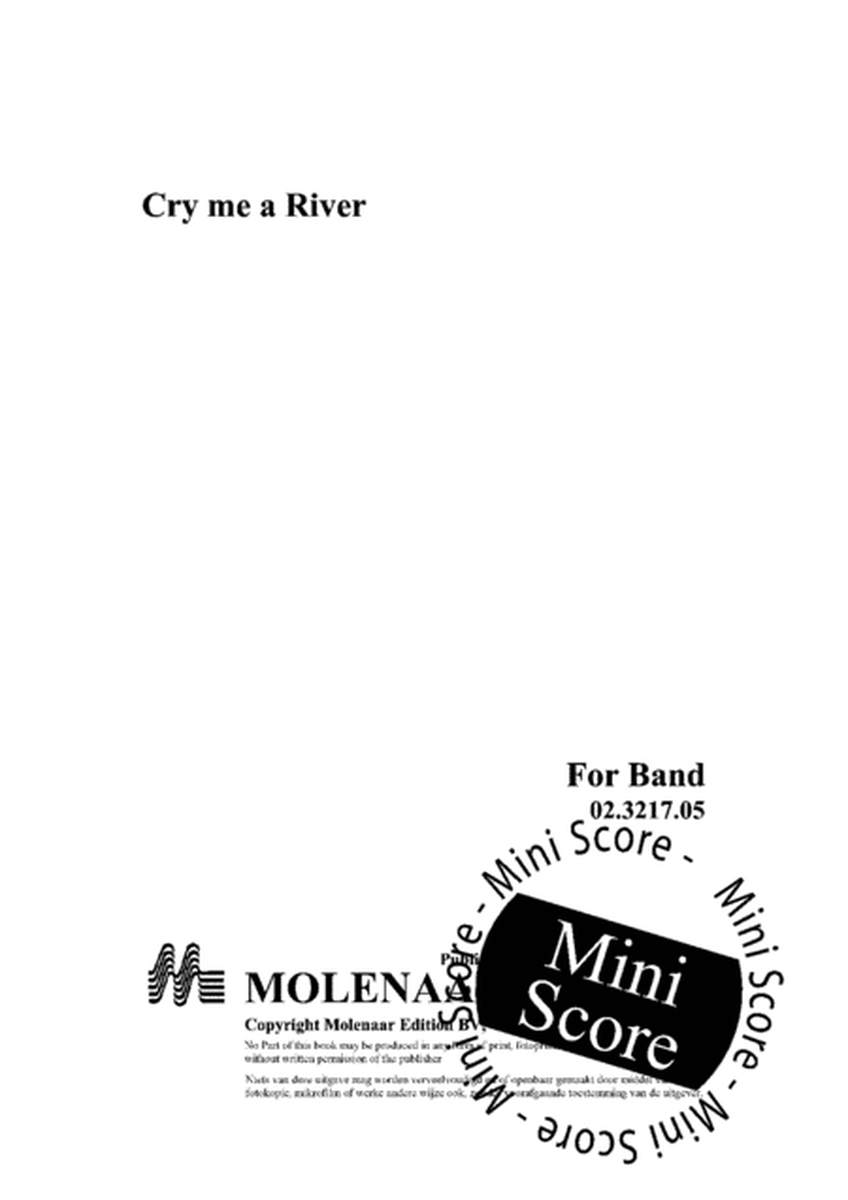 Cry me a River image number null