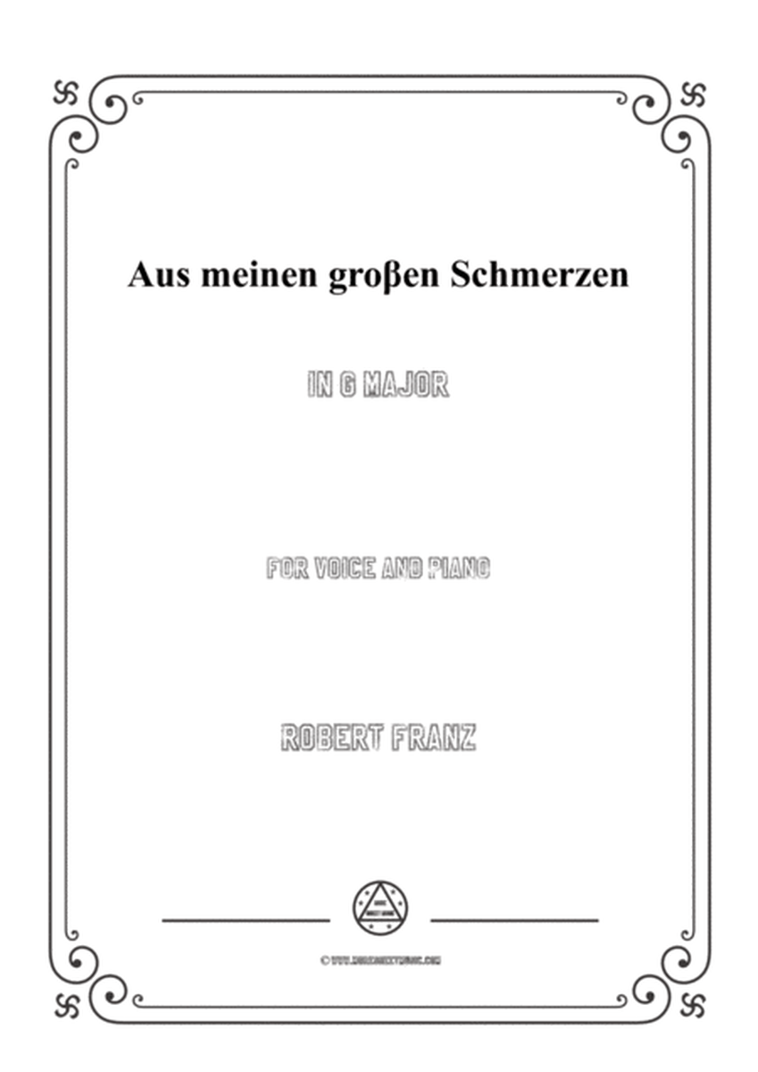 Franz-Aus meinen groβen Schmerzen in G Major,for voice and piano image number null