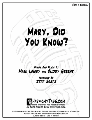 Book cover for Mary, Did You Know?