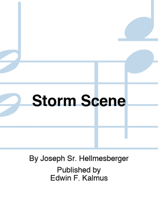Book cover for Storm Scene