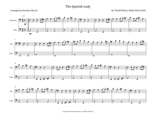 Book cover for The Spanish Lady