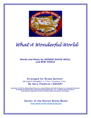 Book cover for What A Wonderful World