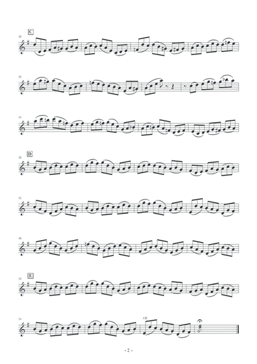 J.S.Bach / Jesu, Joy of Man's Desiring image number null