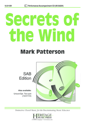 Book cover for Secrets of the Wind