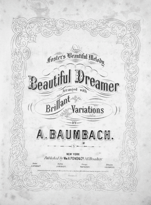 Book cover for Beautiful Dreamer