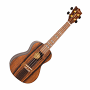 Amara Concert Ukulele