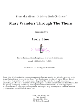 Book cover for Mary Wanders Through The Thorn