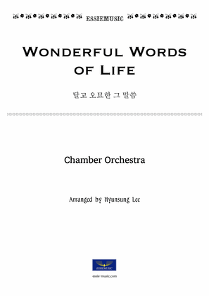 Book cover for Wonderful Words of Life