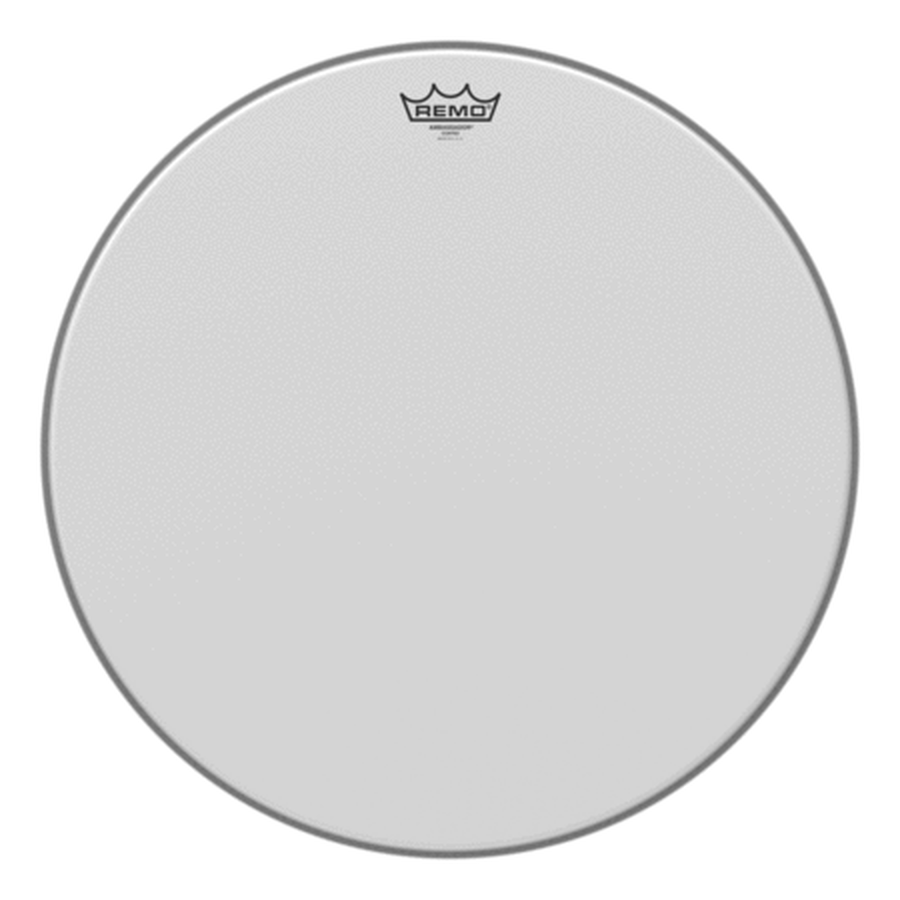 Ambassador Series Coated Drumhead