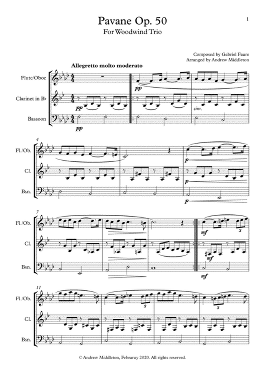 Pavane Op. 50 arranged for Woodwind Trio image number null