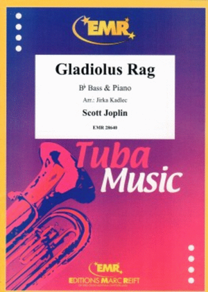 Book cover for Gladiolus Rag