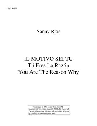 Book cover for IL MOTIVO SEI TÙ