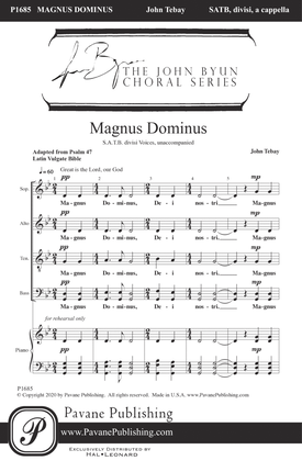 Book cover for Magnus Dominus