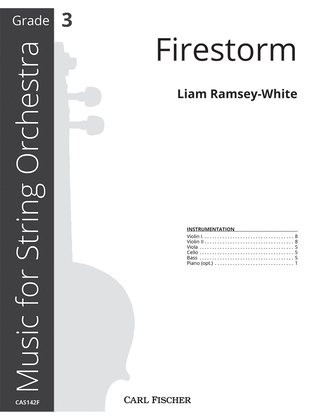 Book cover for Firestorm