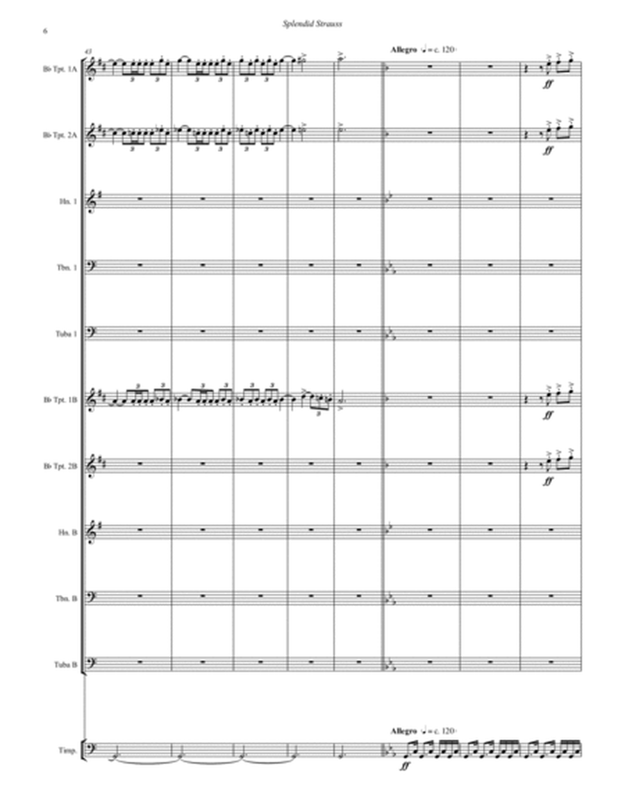 SPLENDID Strauss for 10-part Brass Ensemble and Timpani image number null