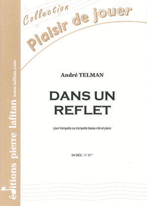 Book cover for Dans Un Reflet