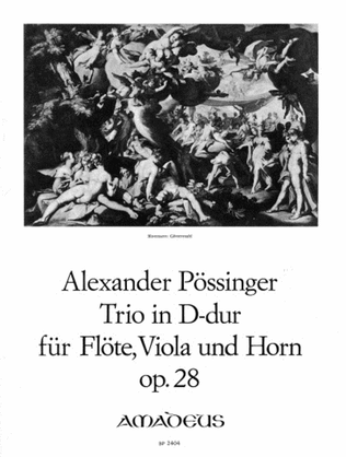 Book cover for Trio D major op. 28