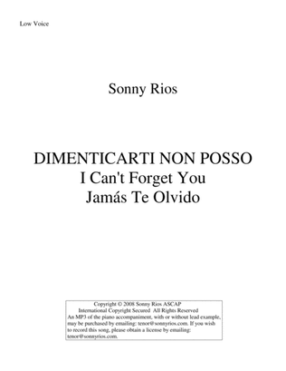 Book cover for DIMENTICARTI NON POSSO