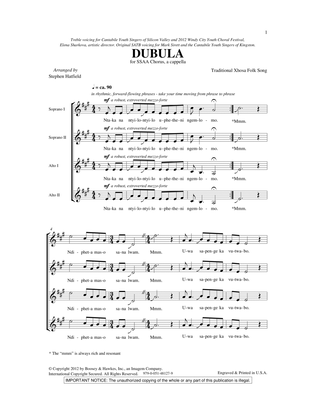 Book cover for Dubula