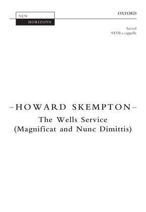 Book cover for The Wells Service