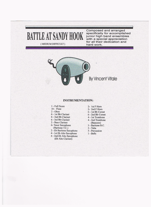 Book cover for BATTLE AT SANDY HOOK