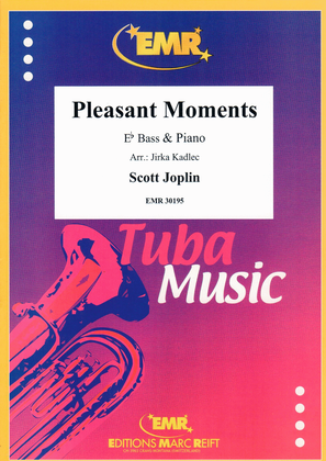Book cover for Pleasant Moments