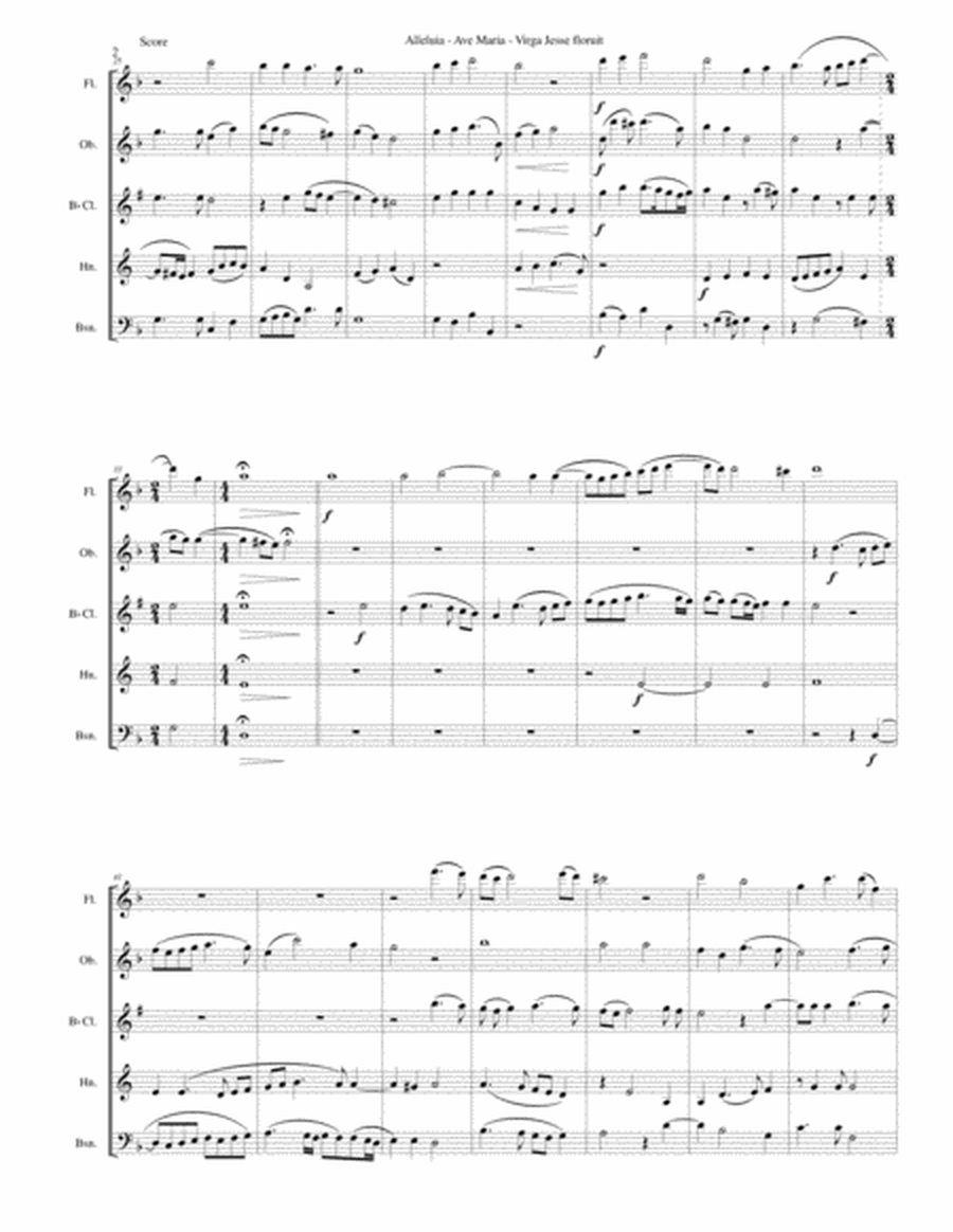 Alleluia - Ave Maria - Virga Jesse floruit arranged for wind quintet image number null