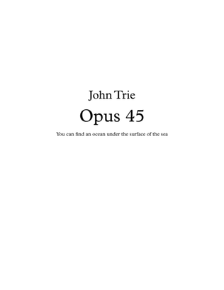Book cover for Opus 45 - You can find an ocean under the surface of the sea