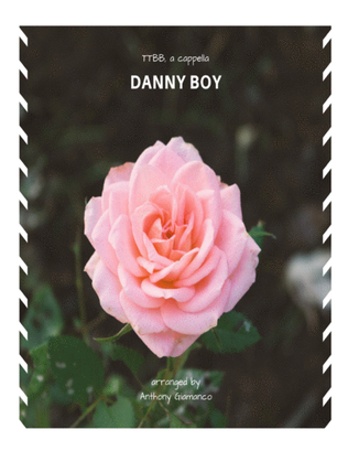 Book cover for Danny Boy - TTBB, a cappella (Key - E-flat)